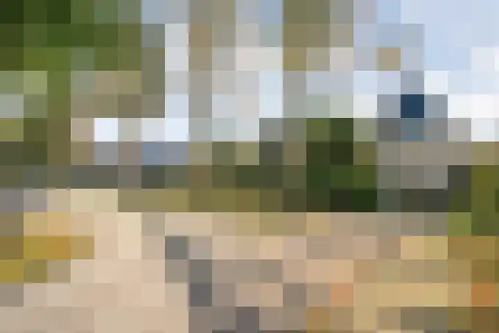 Nijbrecht 18 Vledder thumbnail 8