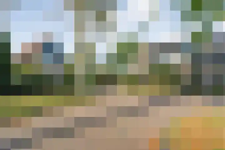Nijbrecht 18 Vledder thumbnail 9