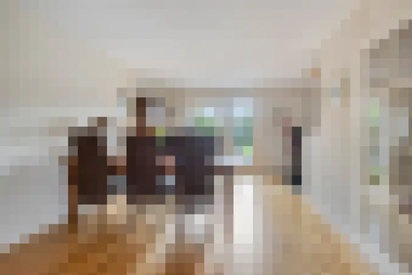 Nijbrecht 2 Vledder thumbnail 12