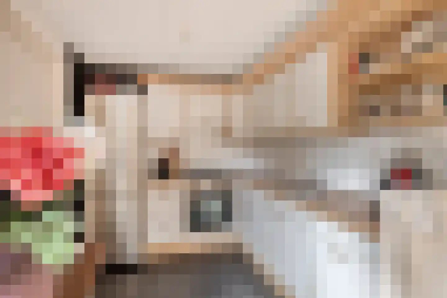 Nijbrecht 2 Vledder thumbnail 14