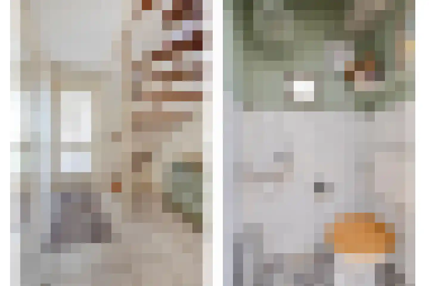 Nijbrecht 2 Vledder thumbnail 18
