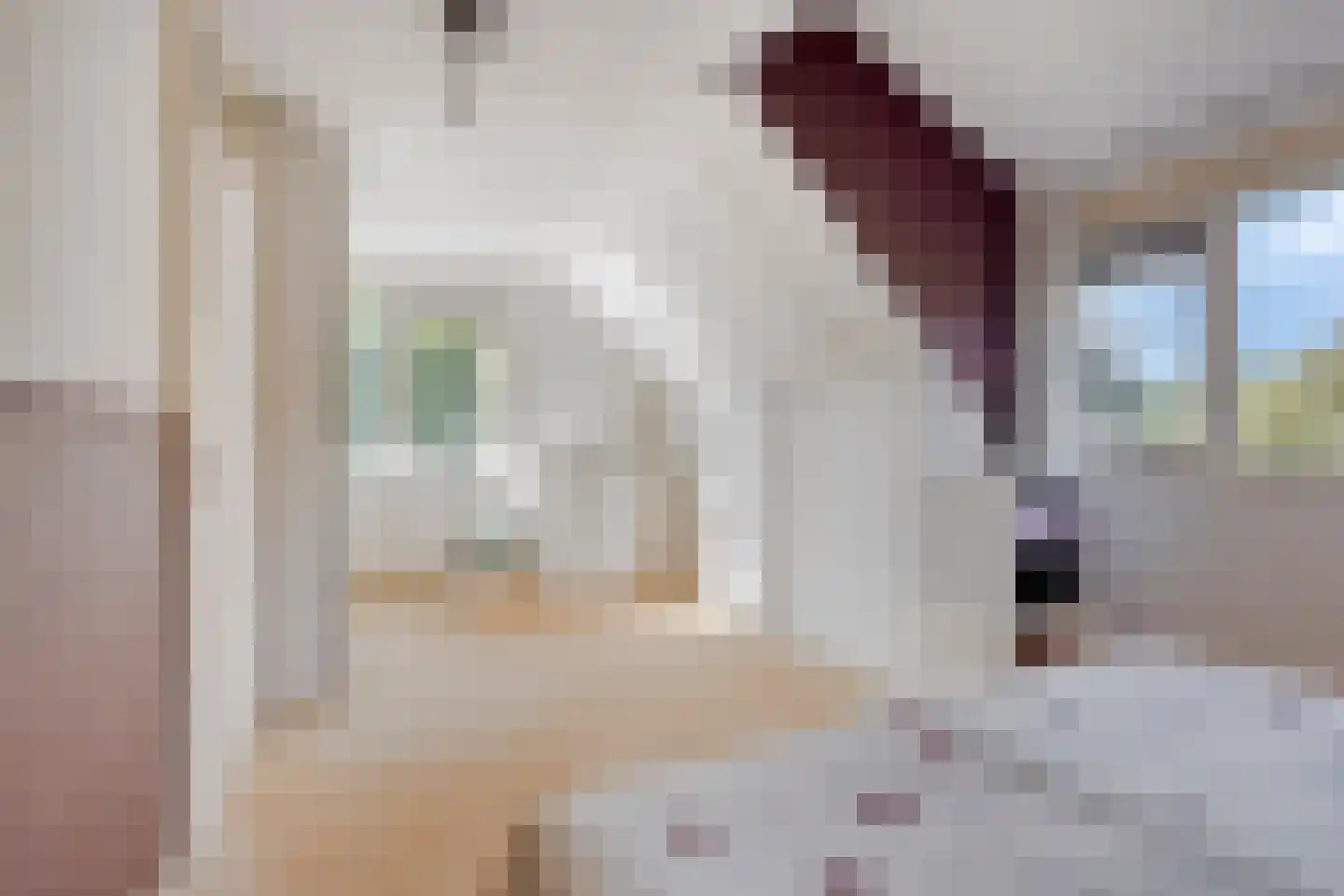 Nijbrecht 2 Vledder thumbnail 22