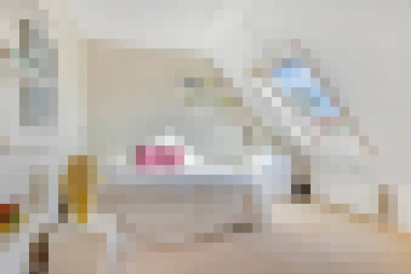Nijbrecht 2 Vledder thumbnail 23