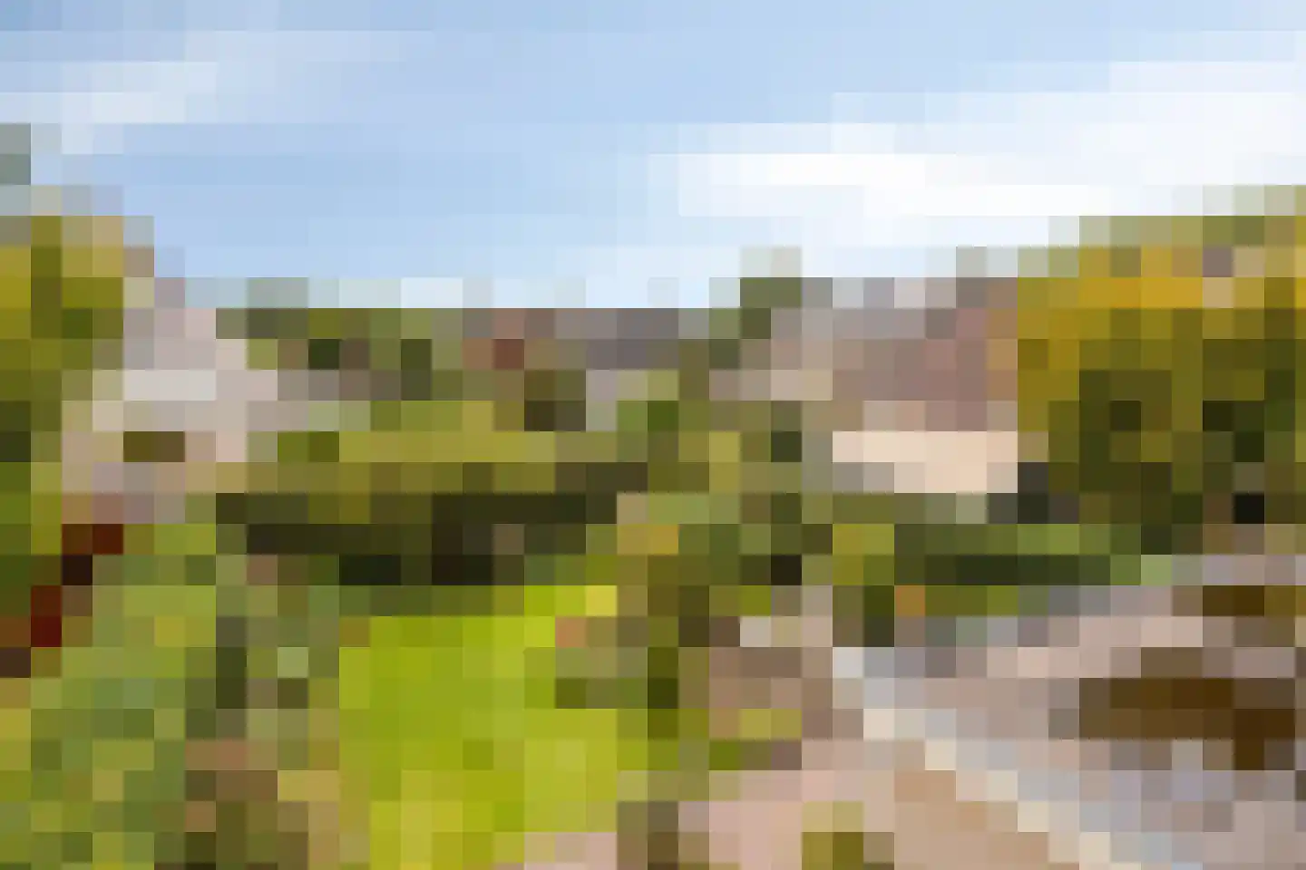 Nijbrecht 2 Vledder thumbnail 24