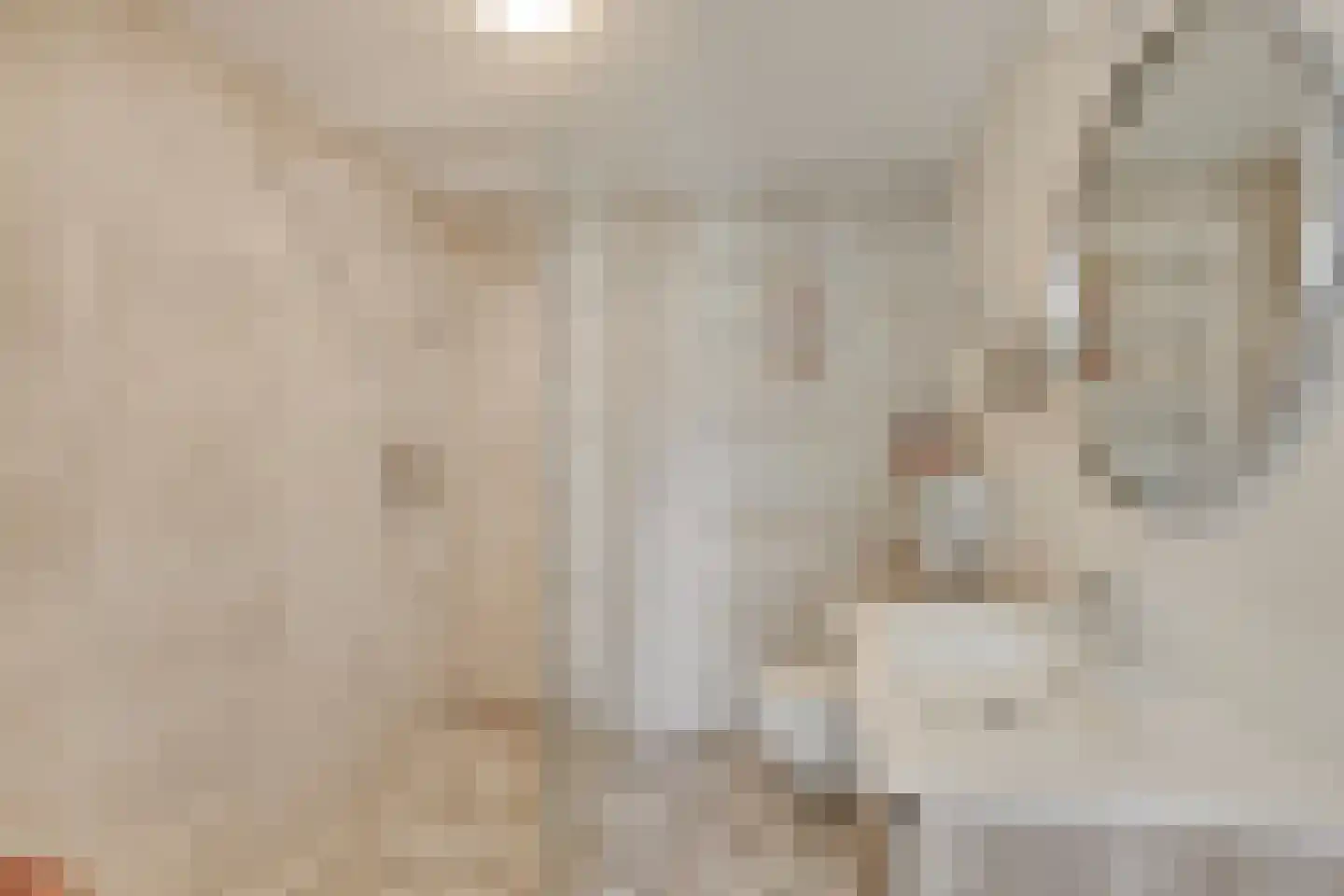 Nijbrecht 2 Vledder thumbnail 25