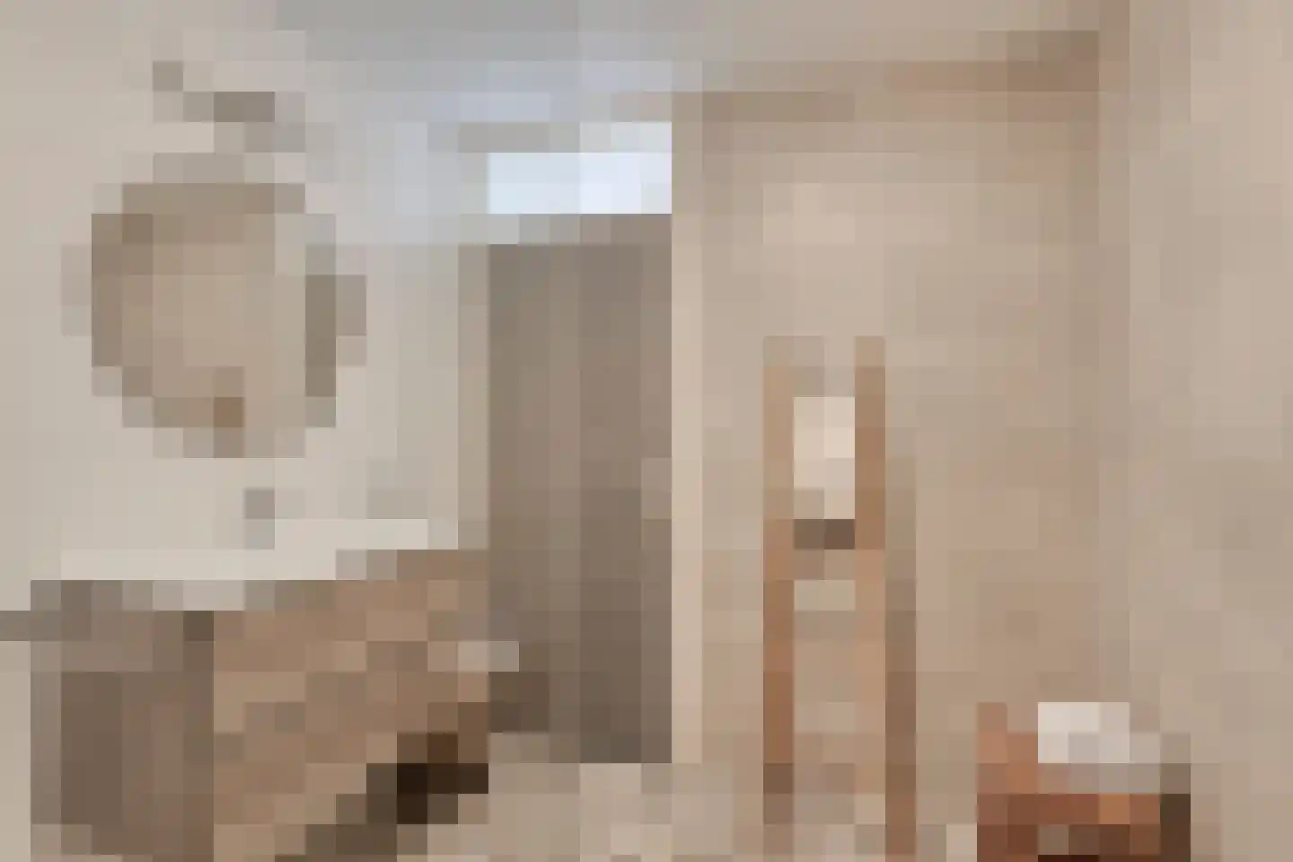 Nijbrecht 2 Vledder thumbnail 26