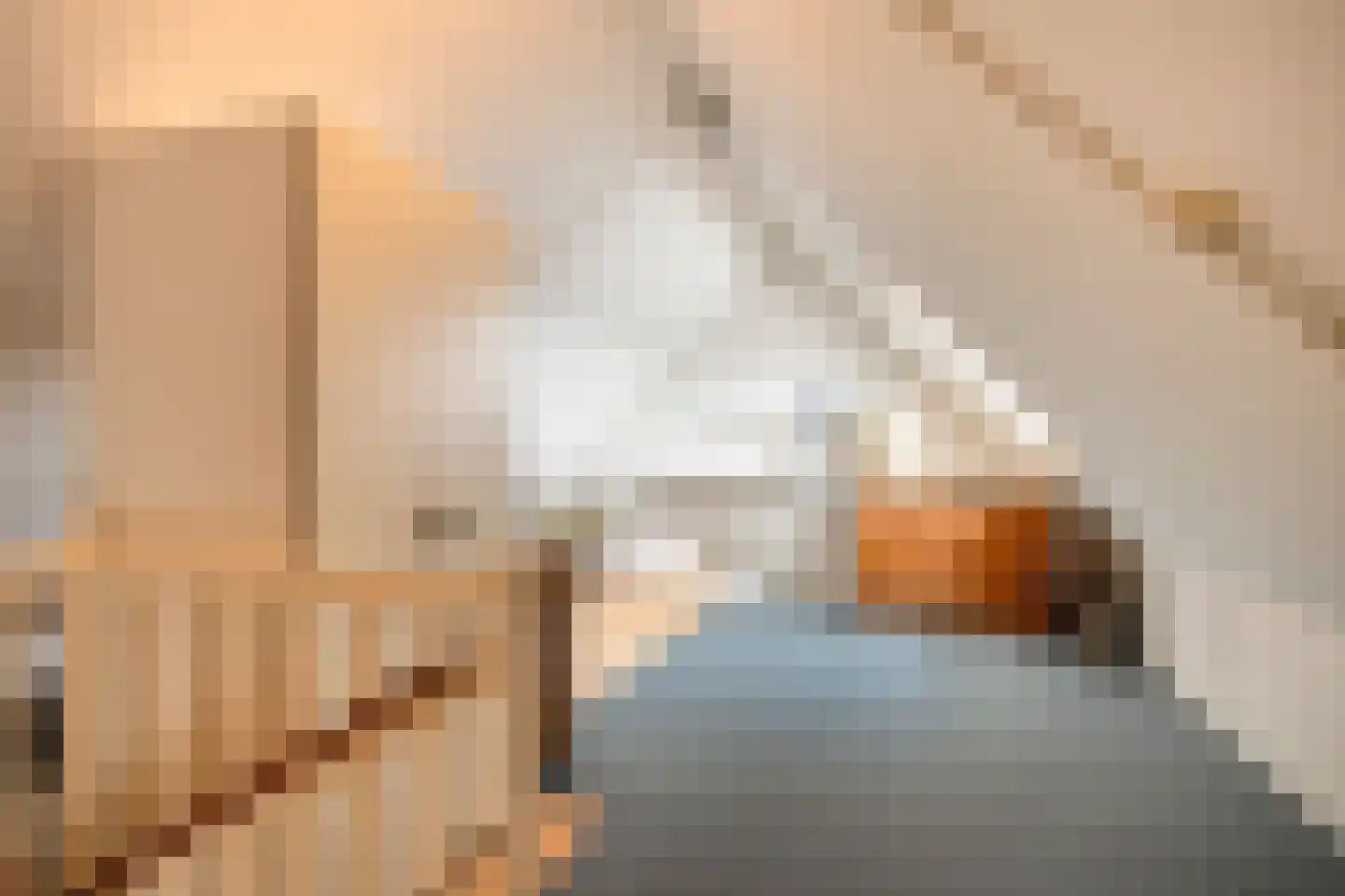 Nijbrecht 2 Vledder thumbnail 29