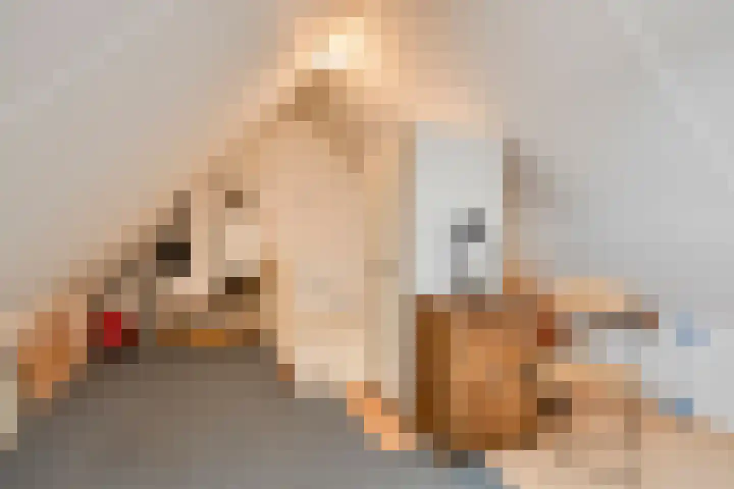 Nijbrecht 2 Vledder thumbnail 30
