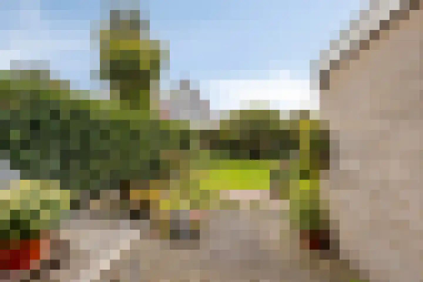 Nijbrecht 2 Vledder thumbnail 32