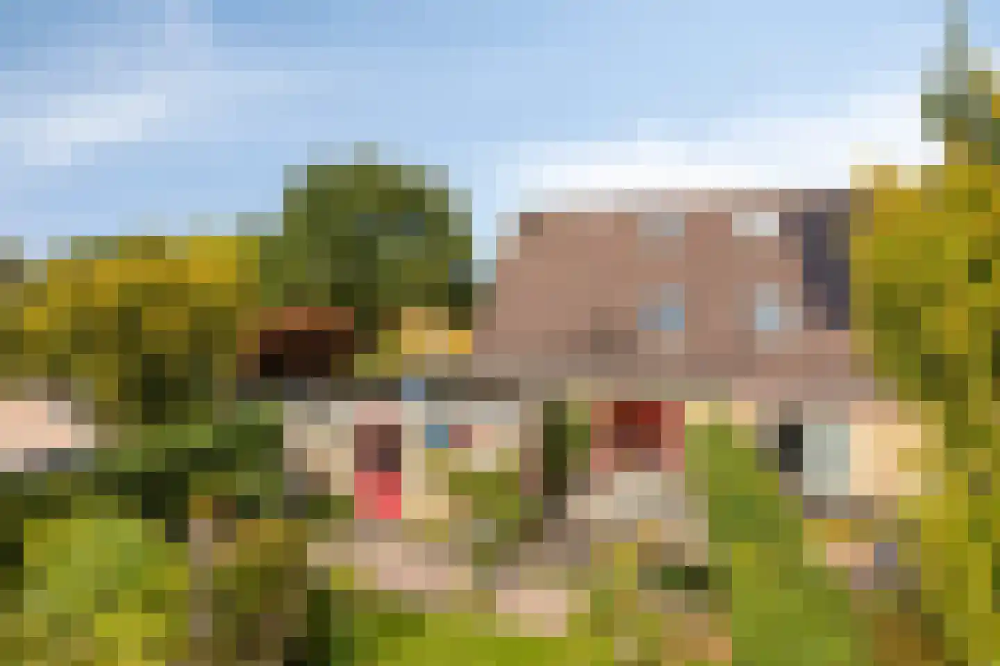 Nijbrecht 2 Vledder thumbnail 35