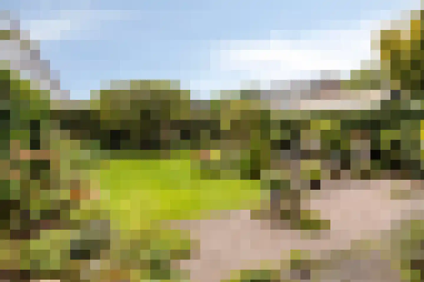 Nijbrecht 2 Vledder thumbnail 4