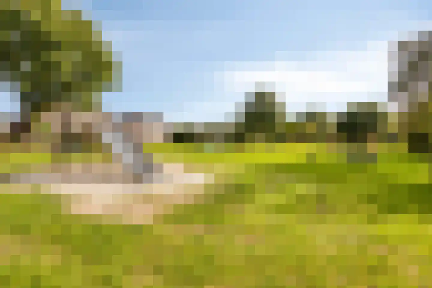 Nijbrecht 2 Vledder thumbnail 40