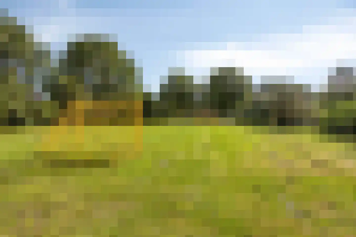 Nijbrecht 2 Vledder thumbnail 41