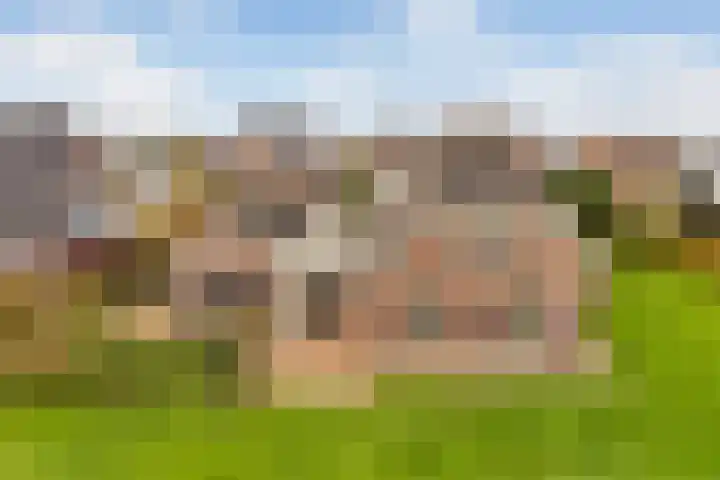 Nijbroekseweg 14 A Apeldoorn thumbnail 37