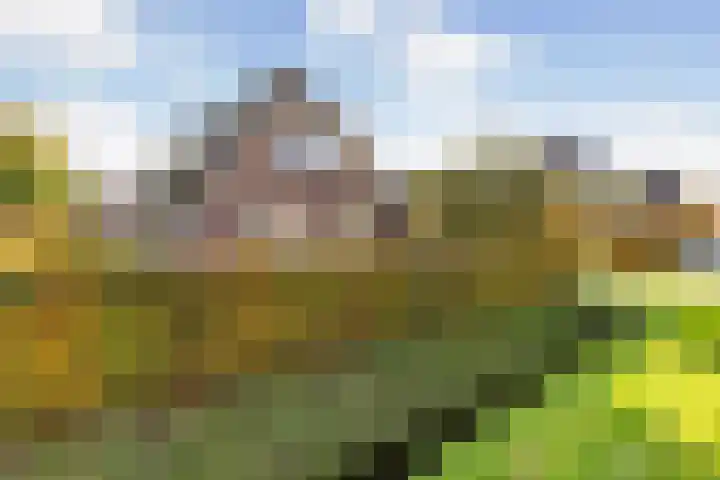 Nijbroekseweg 14 A Apeldoorn thumbnail 4