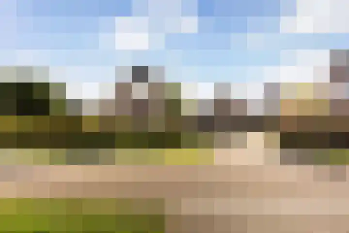 Nijbroekseweg 14 A Apeldoorn thumbnail 5