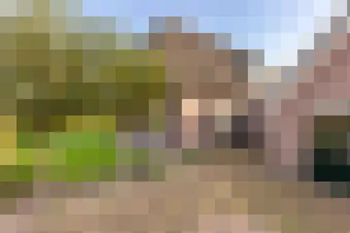 Nijbroekseweg 14 A Apeldoorn thumbnail 6
