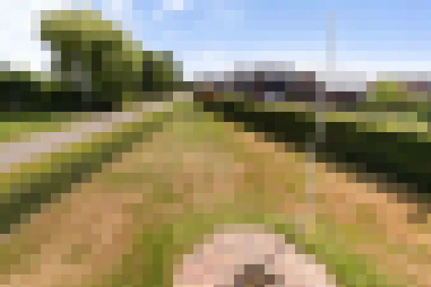 Nijbroekseweg 14 B Apeldoorn thumbnail 73