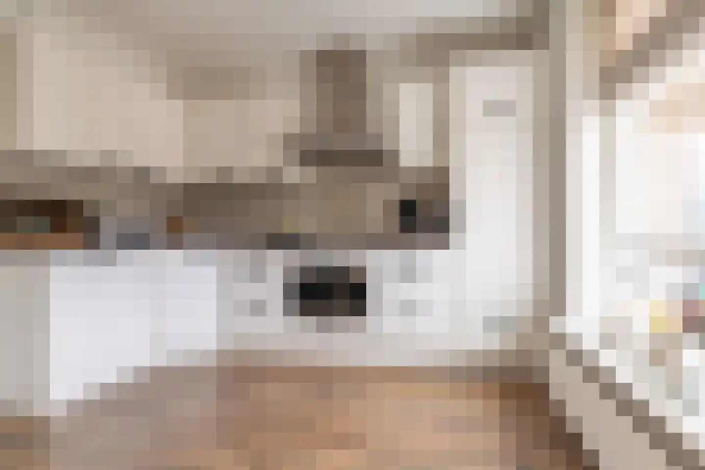 Nijbuorren 10 D Easternijtsjerk thumbnail 10