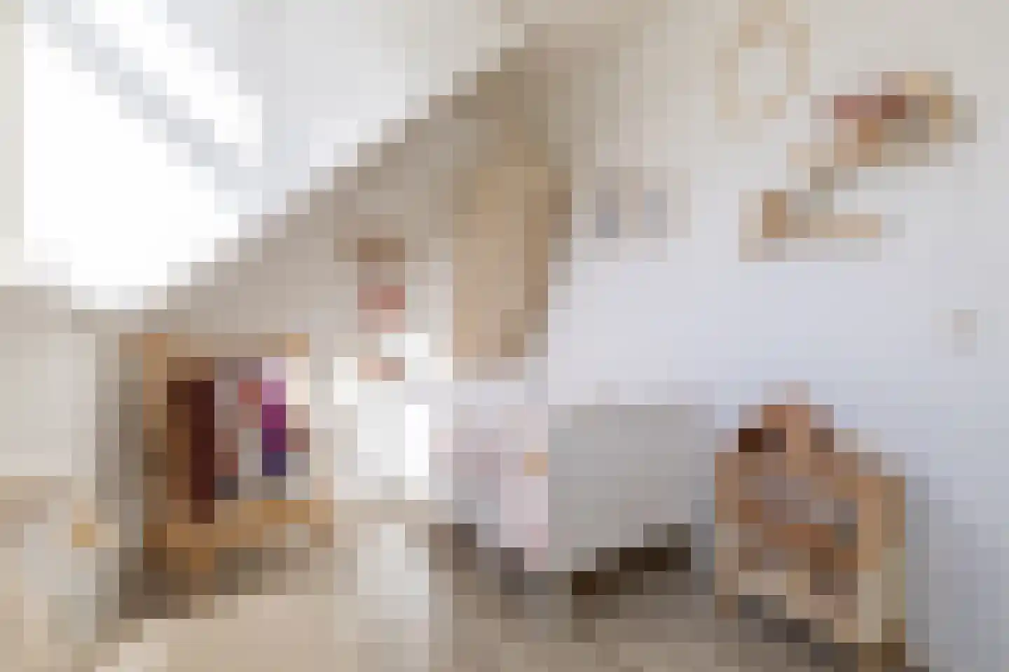Nijbuorren 10 D Easternijtsjerk thumbnail 16