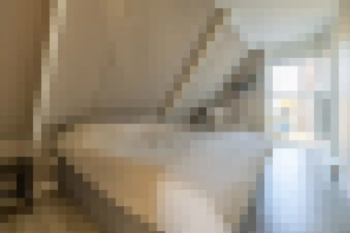 Nijbuorren 10 D Easternijtsjerk thumbnail 18