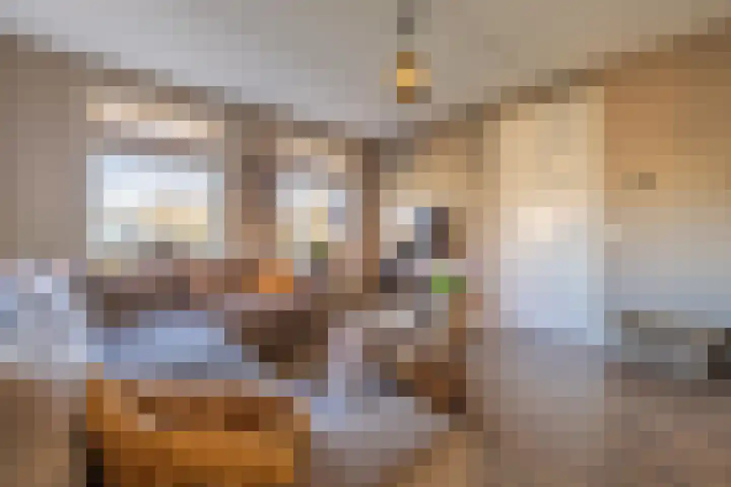 Nijbuorren 10 D Easternijtsjerk thumbnail 7