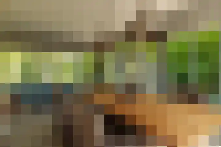 Nijbuorren 3 Hemelum thumbnail 10