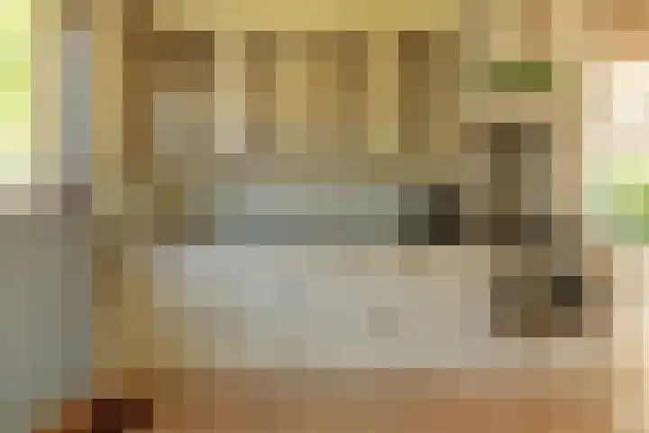 Nijbuorren 3 Hemelum thumbnail 15