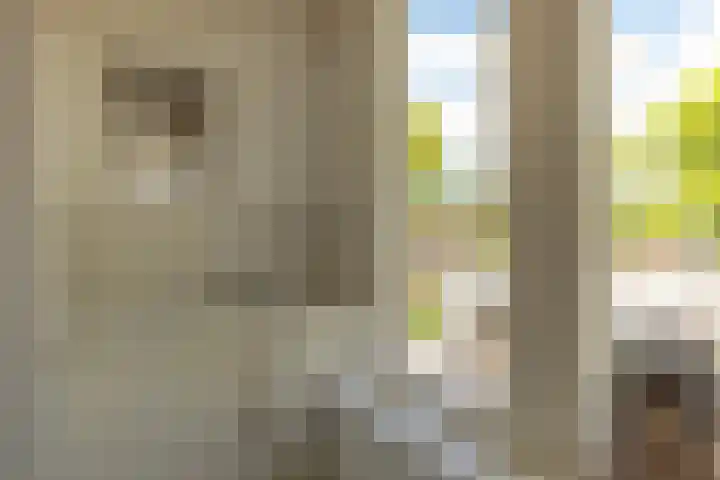 Nijbuorren 3 Hemelum thumbnail 20