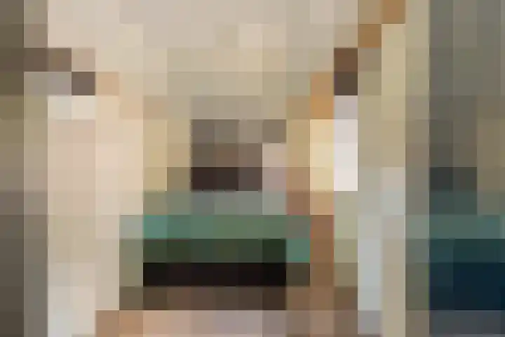 Nijbuorren 3 Hemelum thumbnail 26