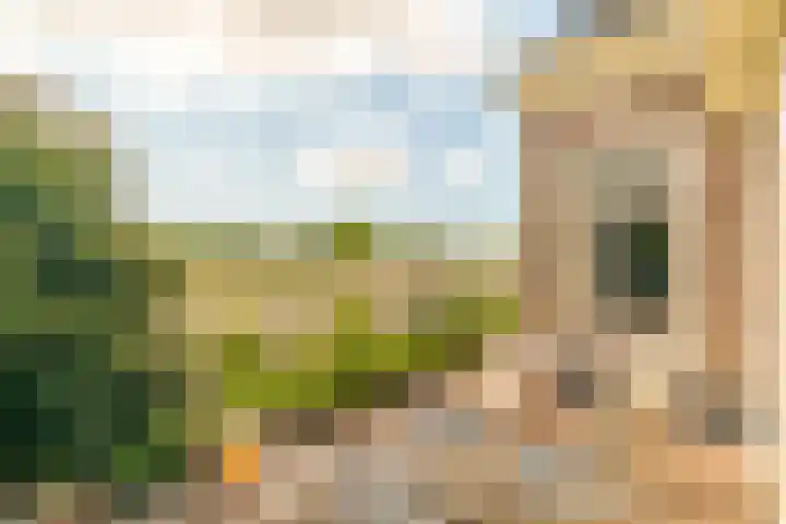 Nijbuorren 3 Hemelum thumbnail 27