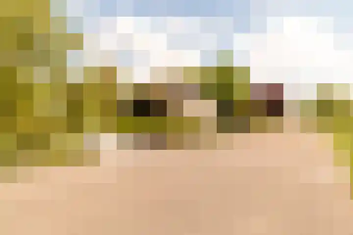 Nijbuorren 3 Hemelum thumbnail 29