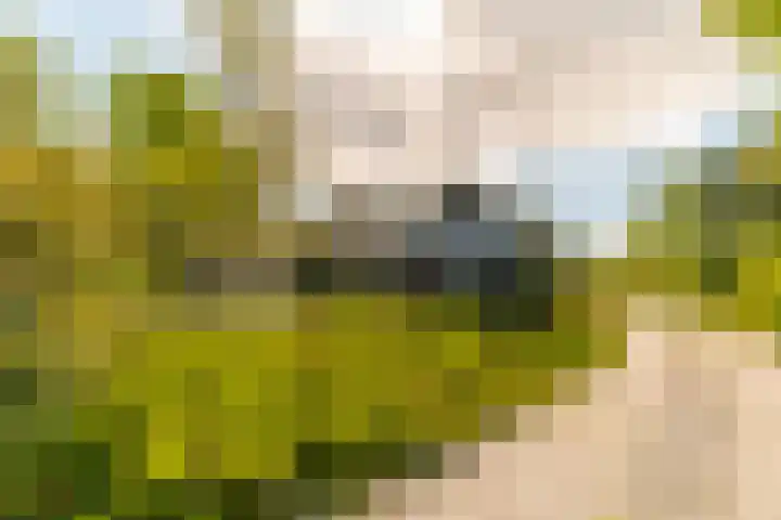 Nijbuorren 3 Hemelum thumbnail 30