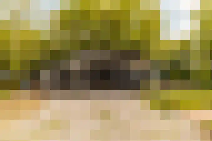 Nijbuorren 3 Hemelum thumbnail 31