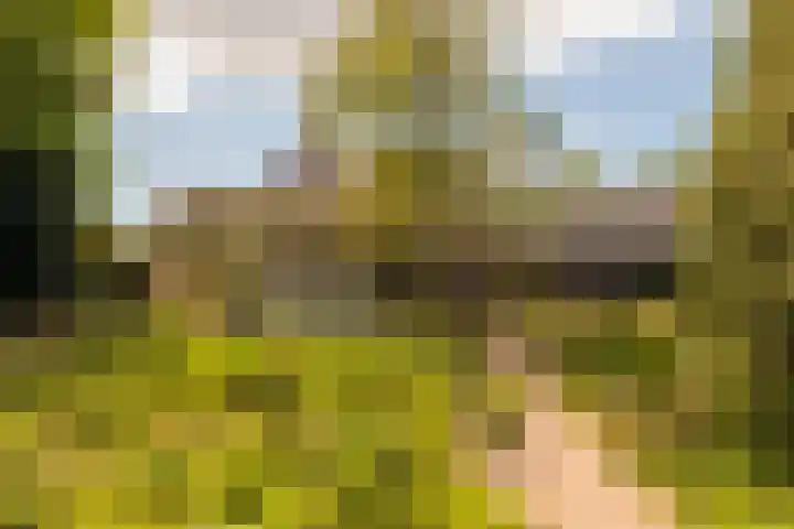 Nijbuorren 3 Hemelum thumbnail 32