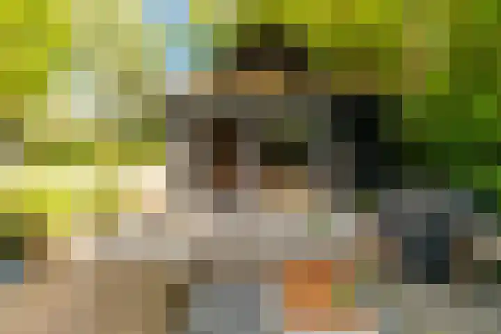Nijbuorren 3 Hemelum thumbnail 34