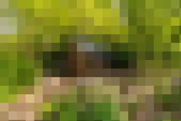 Nijbuorren 3 Hemelum thumbnail 36