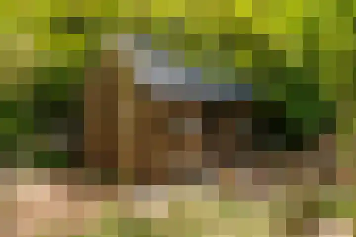 Nijbuorren 3 Hemelum thumbnail 37