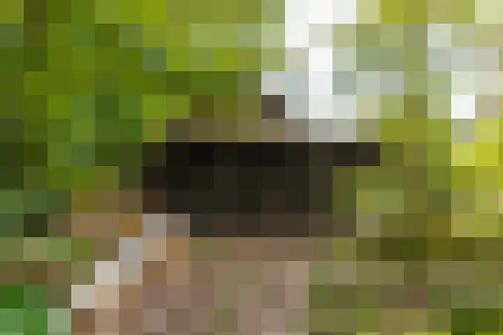 Nijbuorren 3 Hemelum thumbnail 38