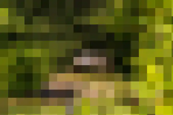 Nijbuorren 3 Hemelum thumbnail 39