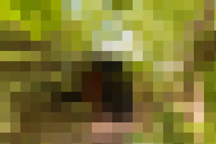 Nijbuorren 3 Hemelum thumbnail 40