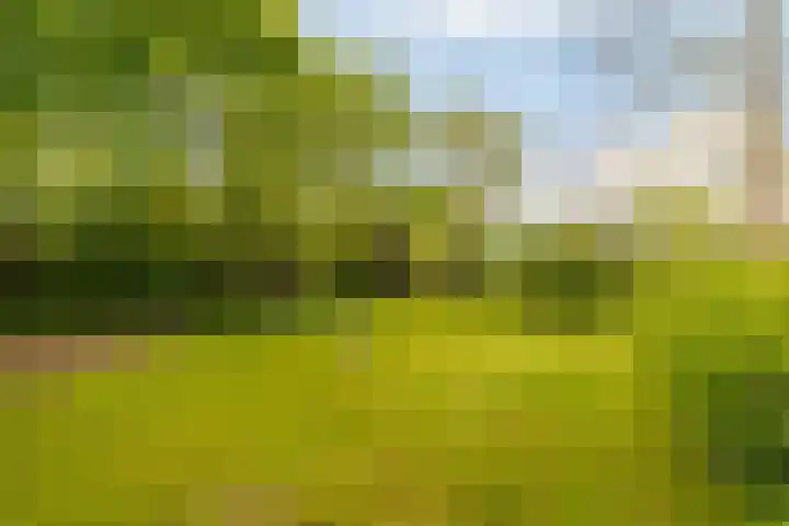 Nijbuorren 3 Hemelum thumbnail 43