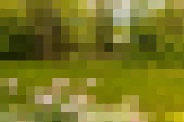 Nijbuorren 3 Hemelum thumbnail 44
