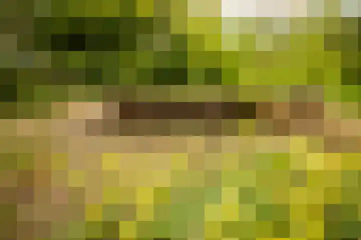 Nijbuorren 3 Hemelum thumbnail 45