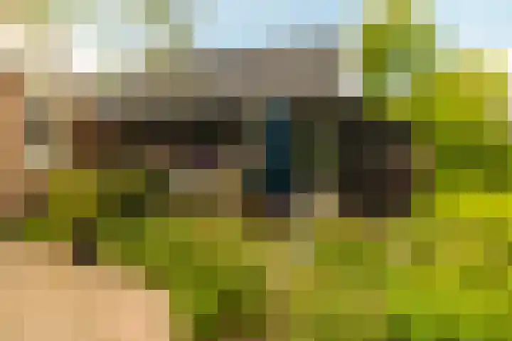 Nijbuorren 3 Hemelum thumbnail 46