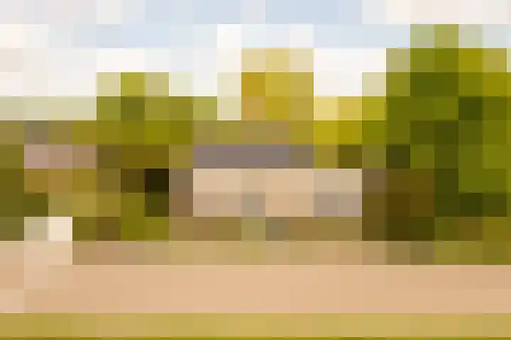 Nijbuorren 3 Hemelum thumbnail 47