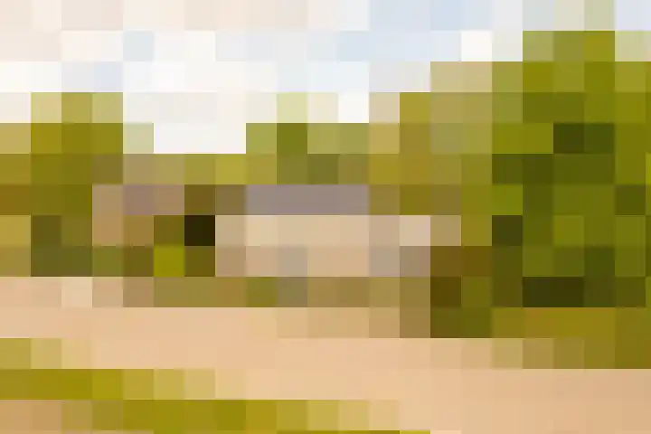 Nijbuorren 3 Hemelum thumbnail 48