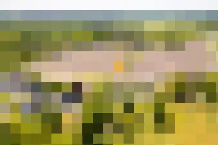 Nijbuorren 3 Hemelum thumbnail 50