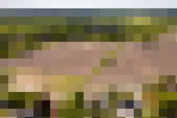Nijbuorren 3 Hemelum thumbnail 51