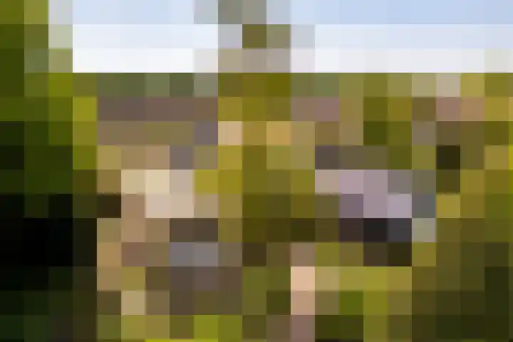 Nijbuorren 3 Hemelum thumbnail 52